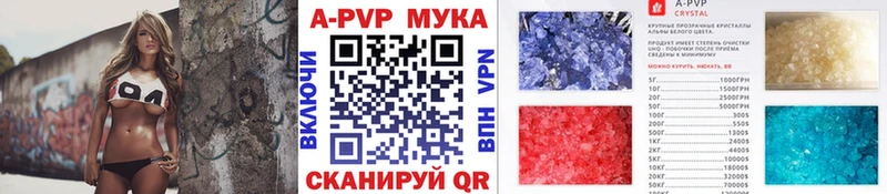 купить цена Шимановск А ПВП СК