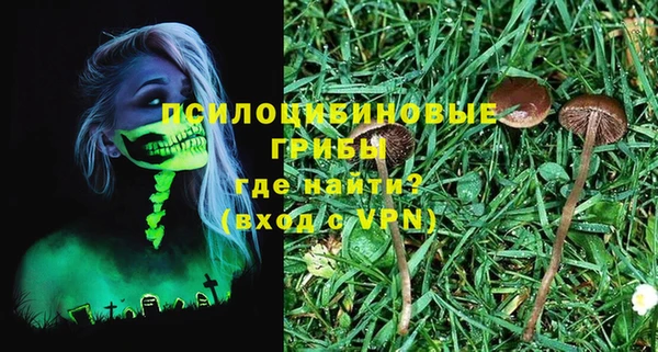 молекула духа Лиски